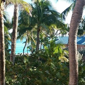 Meet your Posher, Shelby